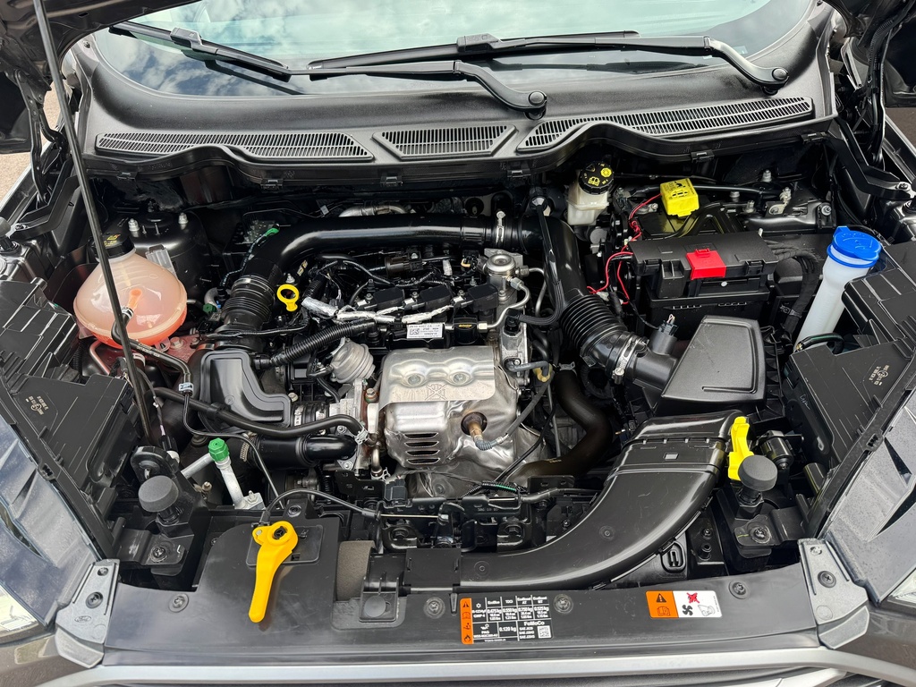 Hexon import image 16