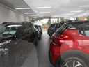 Hexon import image 32